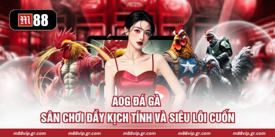 AOG Đá Gà - Sân Chơi Đầy Kịch Tính Và Siêu Lôi Cuốn 2026 AOG Đá Gà - Sân Chơi Đầy Kịch Tính Và Siêu Lôi Cuốn 2026